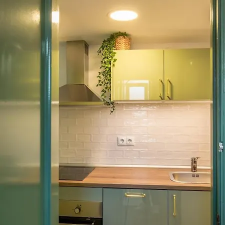 Cactus. Apartment Denia
