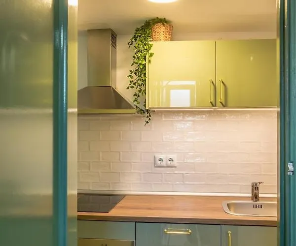 Cactus. Apartman Denia