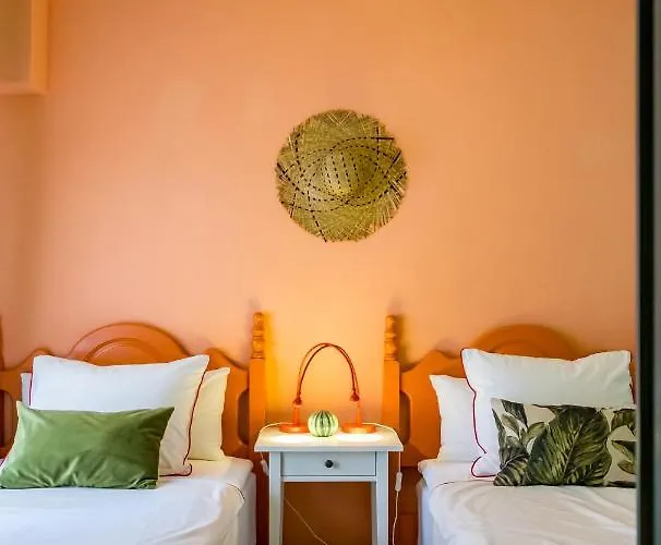 Cactus. Apartman Denia